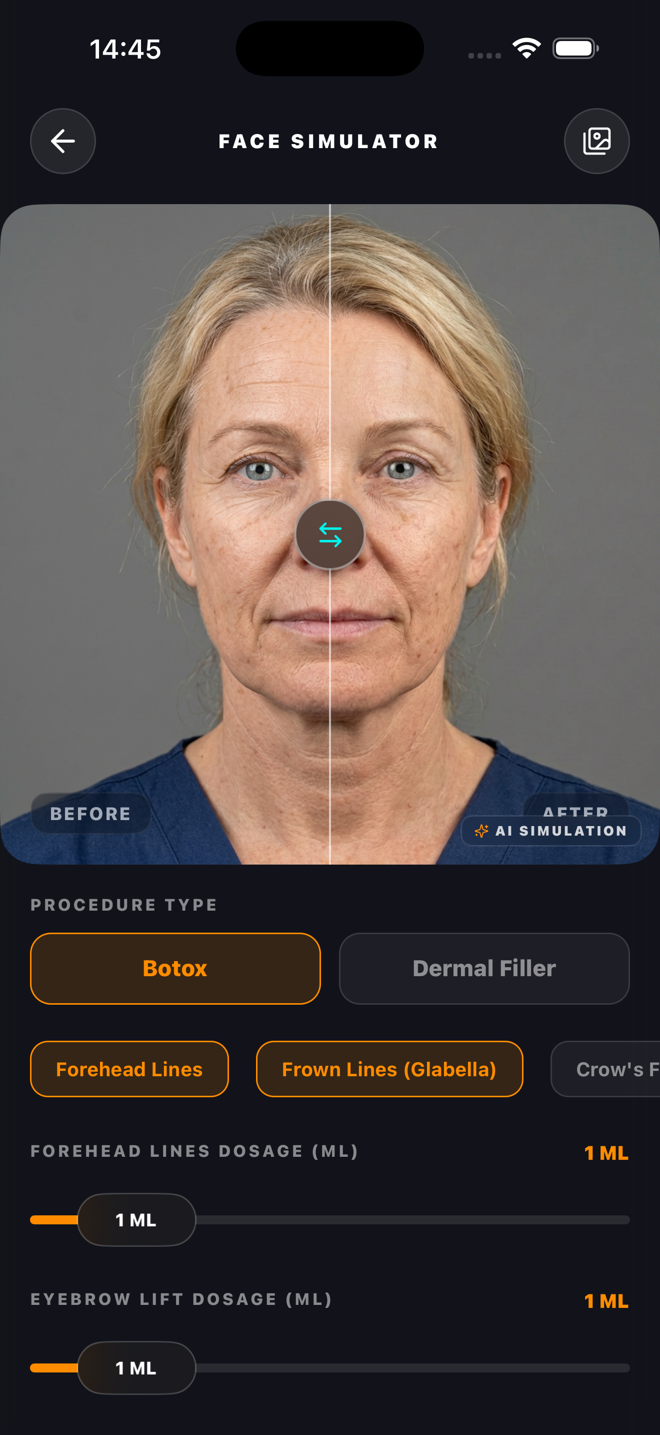 App Interface Preview